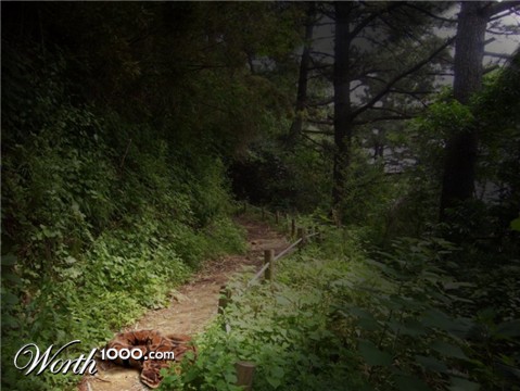 Photoshop Design by GrandmaNita