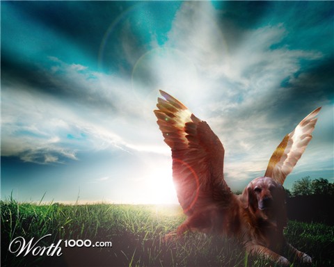 Photoshop Design by ObiWonKaTobey