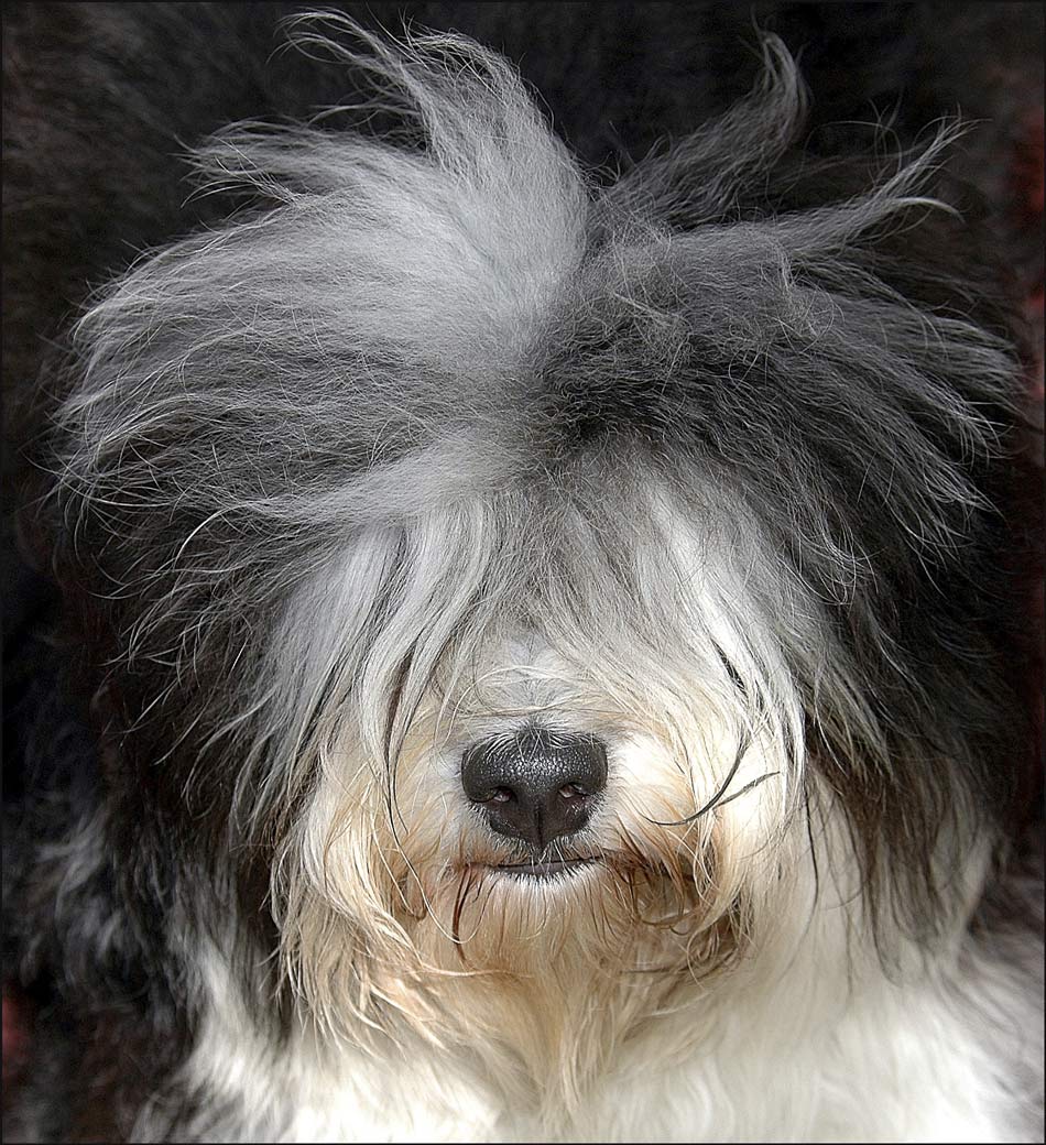 Photographie par Tyssen pour DesignCrowd (Community Contests) | Design #8972251