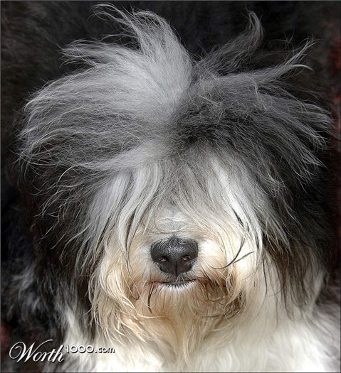 Photography by Tyssen