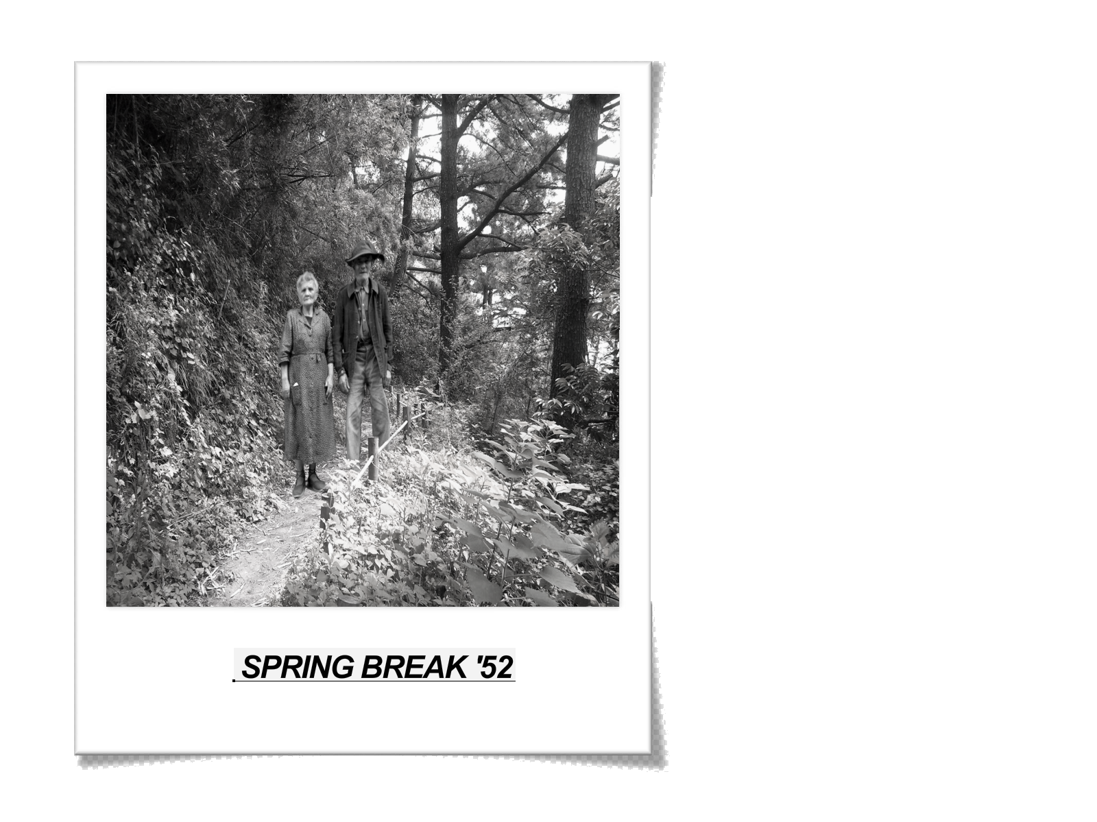 Photoshop Design by abctailzxyz for DesignCrowd (Community Contests) | Design #8972595