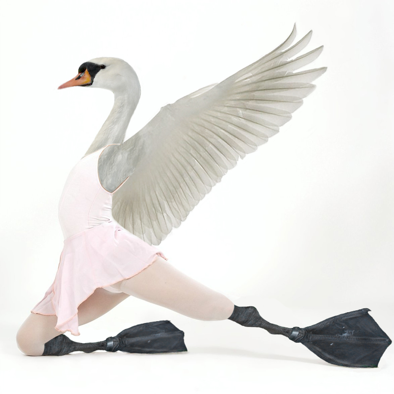 Photoshop-Design von arrobarriba für DesignCrowd (Community Contests) | Design #8977416