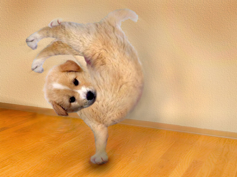 Design Photoshop par colleague pour DesignCrowd (Community Contests) | Design #8977521