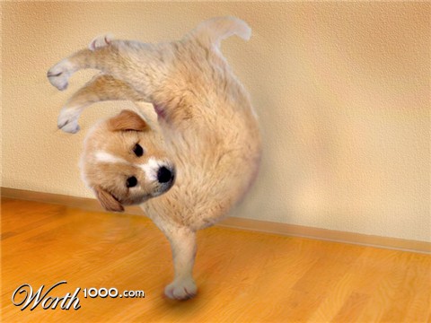 Photoshop Design by colleague