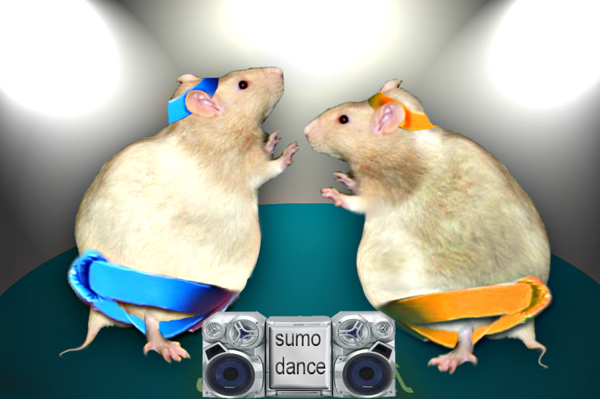 Diseño de Photoshop por siemhustler para DesignCrowd (Community Contests) | Diseño #8977546