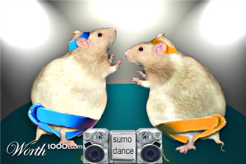 Photoshop Design by siemhustler