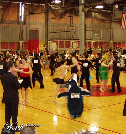 Photoshop Design by bicyclewilli