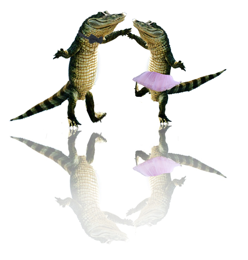 Photoshop Design by PeterAAAWelch for DesignCrowd (Community Contests) | Design #8977458