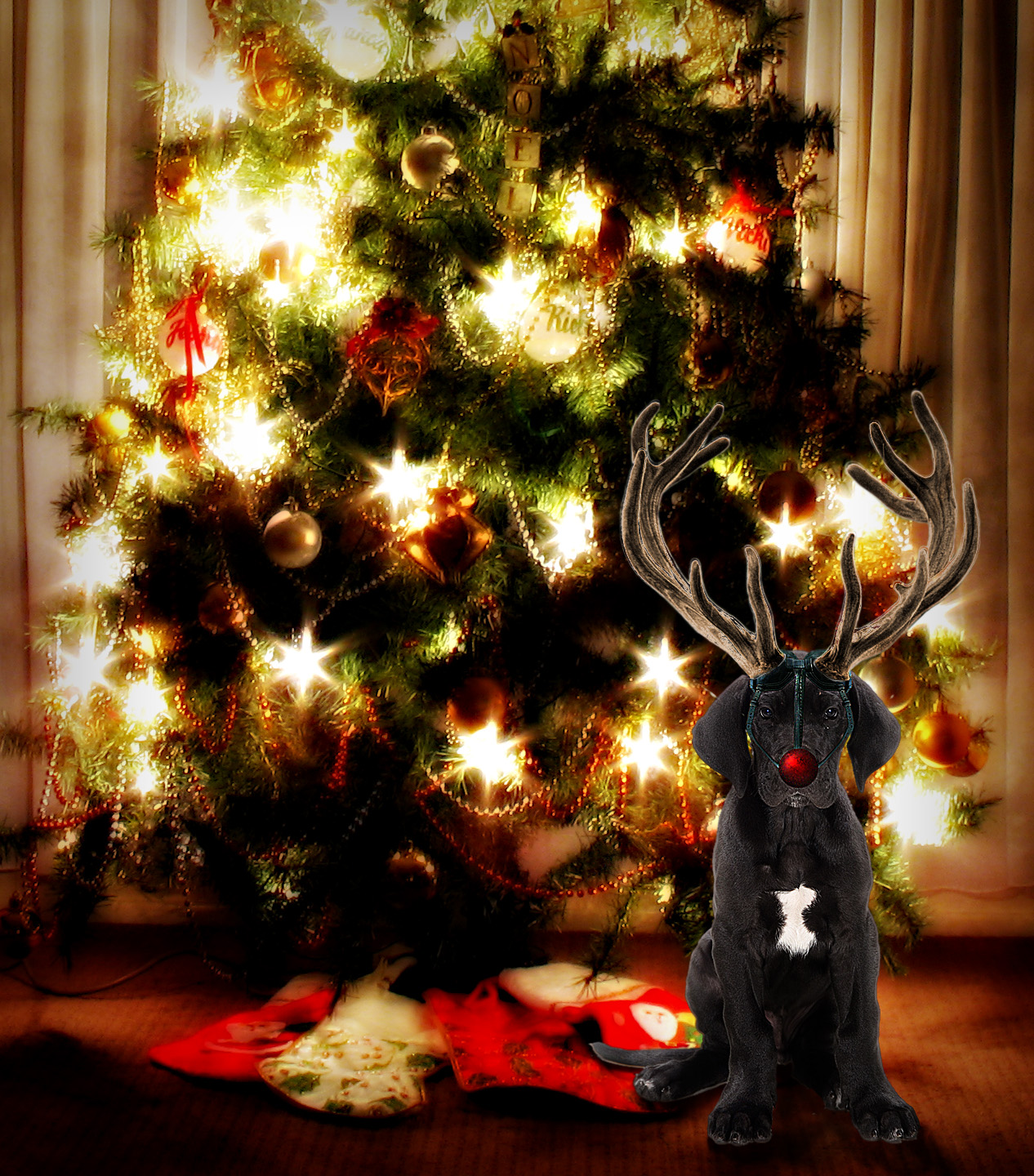 Diseño de Photoshop por Ronschk para DesignCrowd (Community Contests) | Diseño #8971289