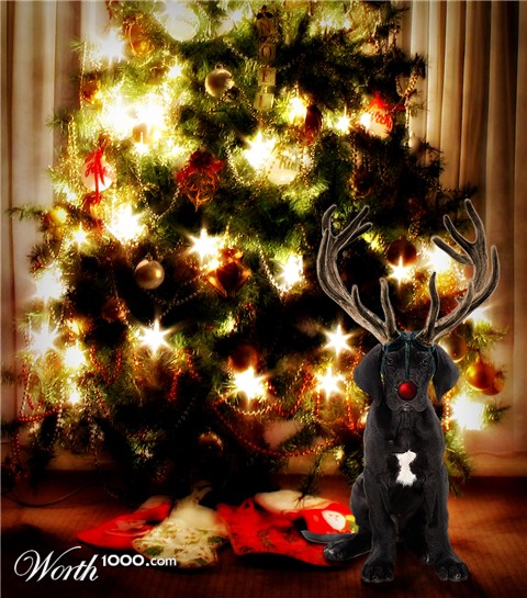 Photoshop Design by Ronschk