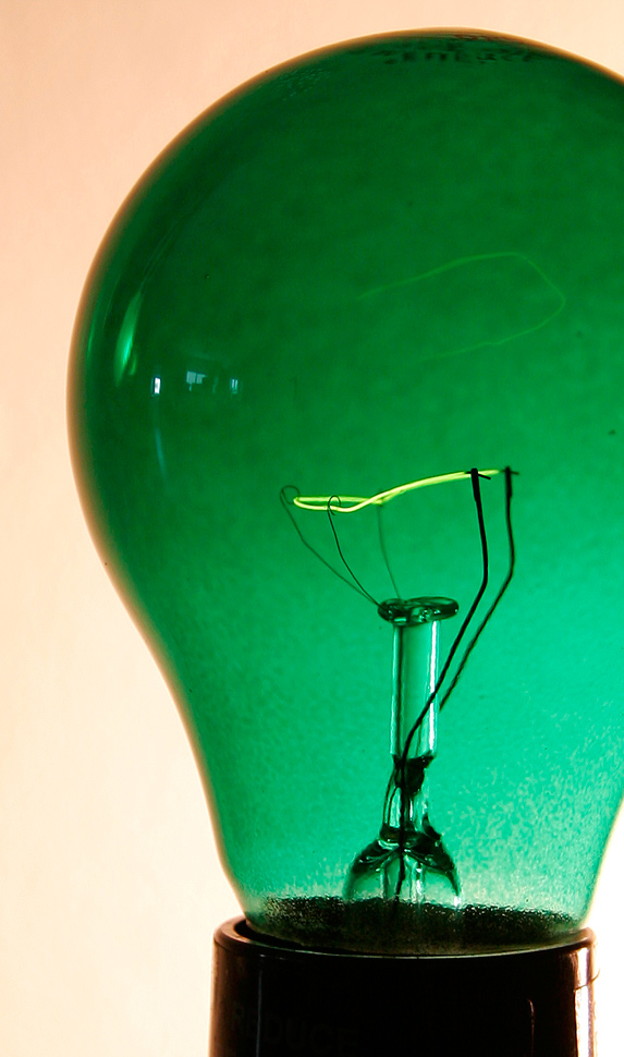 Photography by pinkfly for DesignCrowd (Community Contests) | Design #8971104