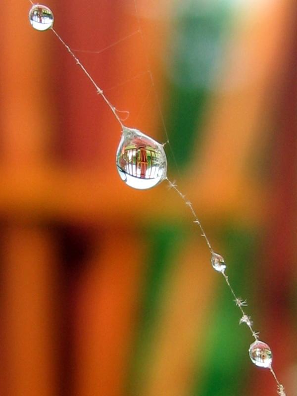 Photography by bepo77 for DesignCrowd (Community Contests) | Design #8969945