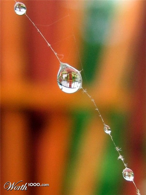 Photography by bepo77