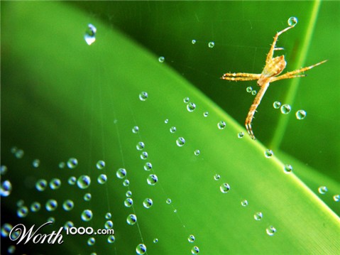 Photography by resouzaesouza