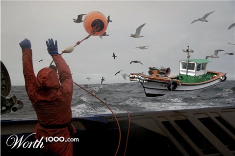 Photoshop Design by scottyd