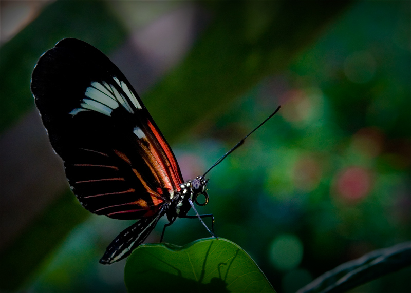 Photography by DozerLYP for DesignCrowd (Community Contests) | Design #8968499