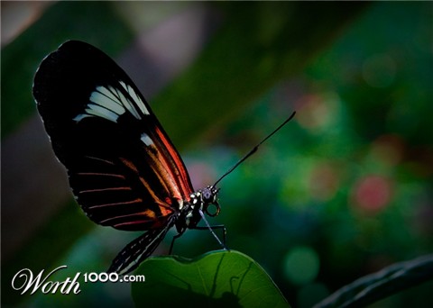 Photography by DozerLYP