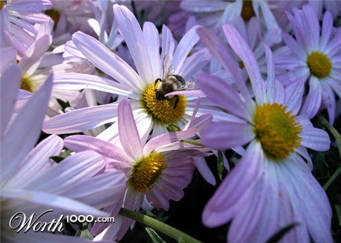 Photography by Safekeeper