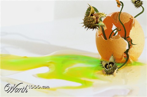 Photoshop Design by Nohbody