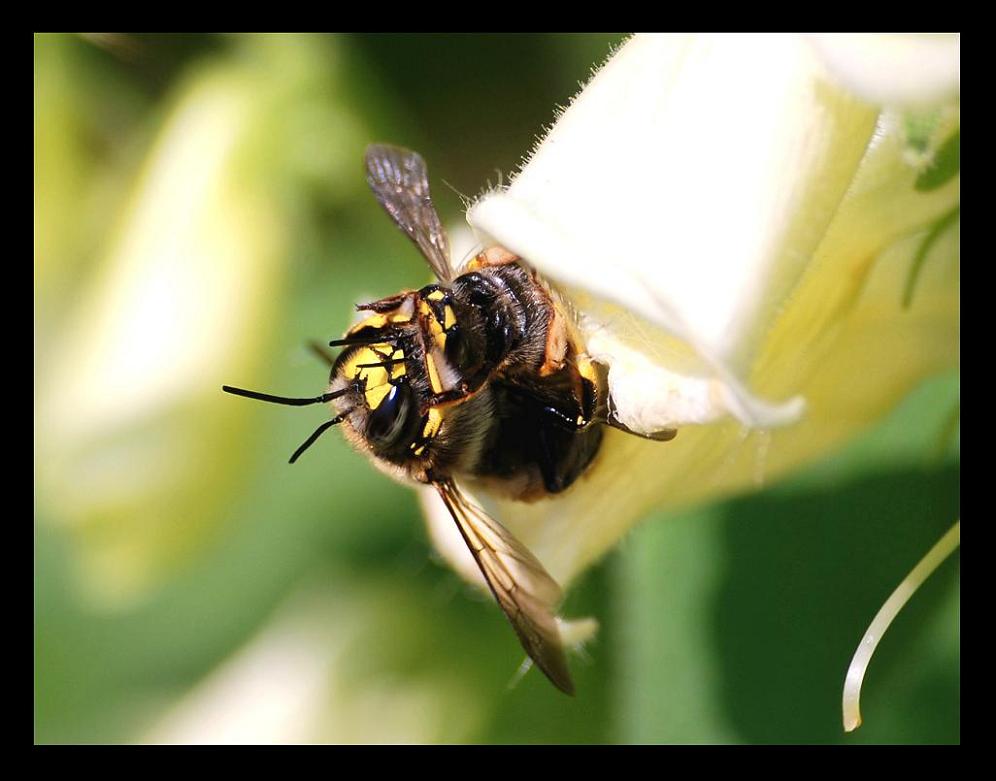 Photography by OsirisX for DesignCrowd (Community Contests) | Design #8968541