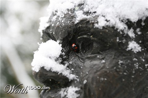 Photography by kipros