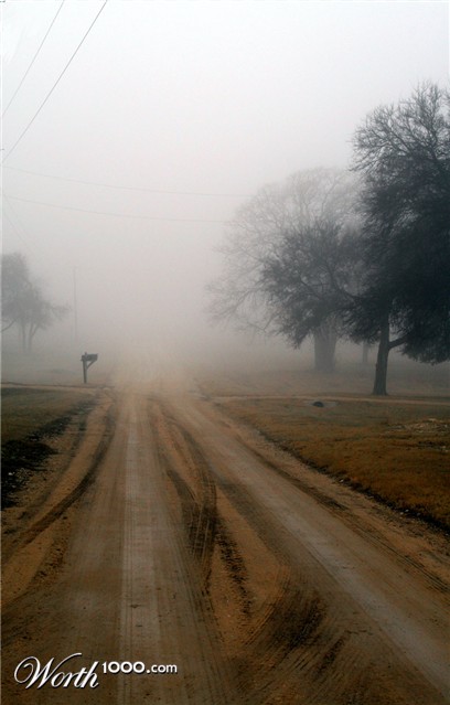 Photography by tigercrosse