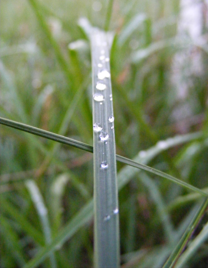 Photographie par Safekeeper pour DesignCrowd (Community Contests) | Design #8969998