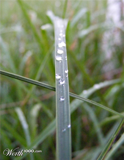 Photography by Safekeeper