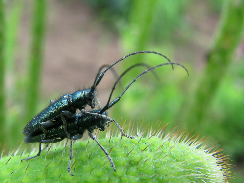 Photography by Mikeleus for DesignCrowd (Community Contests) | Design #8968574