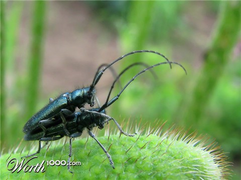 Photography by Mikeleus