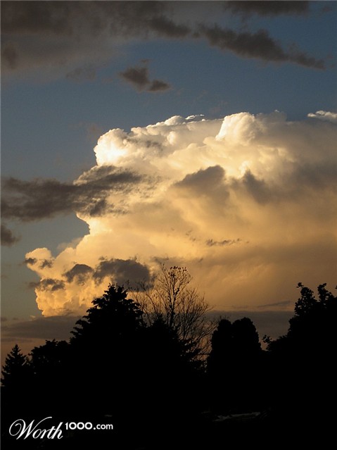 Photography by spincast1123