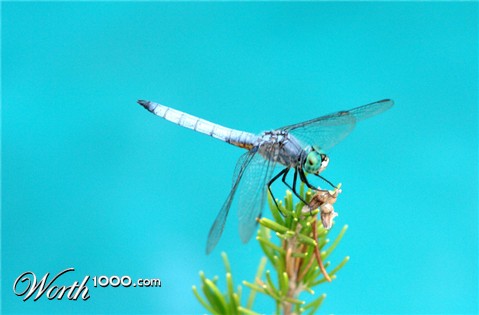 Photography by ljvgtj