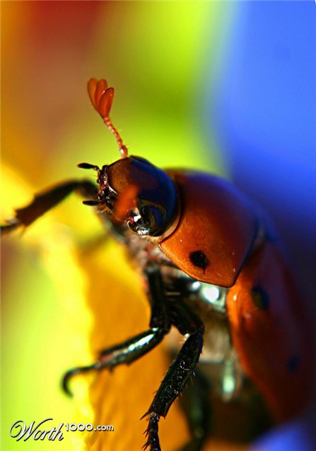 Photography by starshimmer