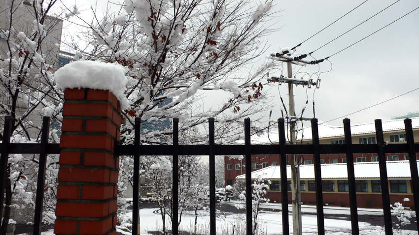 Photography by sausirhi for DesignCrowd (Community Contests) | Design #8970098