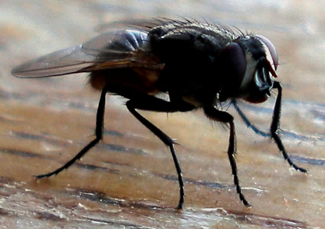 Photography by Andromeda5000 for DesignCrowd (Community Contests) | Design #8968557