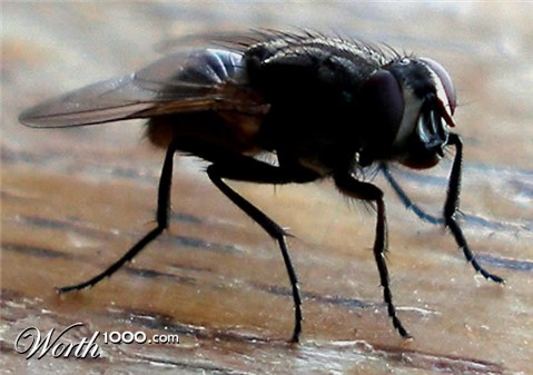 Photography by Andromeda5000