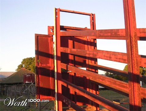 Photography by kevinness17