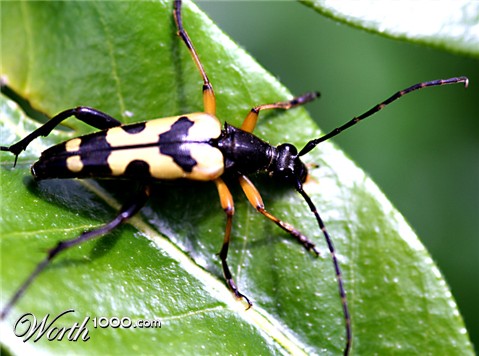 Photography by dereksurf