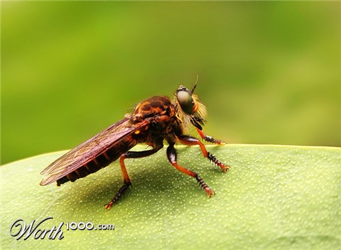 Photography by Pr4ktic