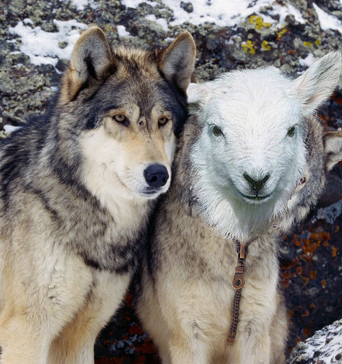 Photoshop Design by fcuetoq for DesignCrowd (Community Contests) | Design #8975110