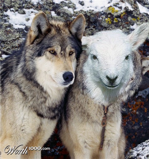 Photoshop Design by fcuetoq