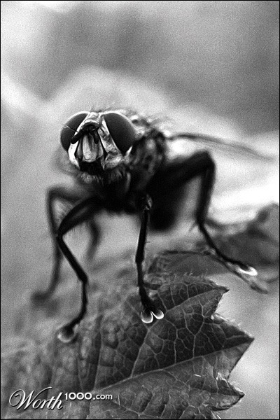 Photography by Antharon