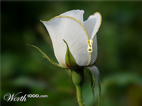 Photoshop Design by colleague