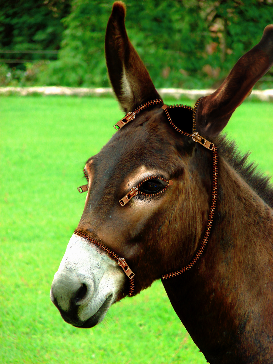 Photoshop Design by oTadeo for DesignCrowd (Community Contests) | Design #8975128