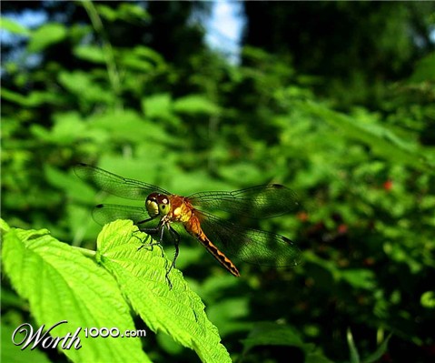 Photography by spincast1123