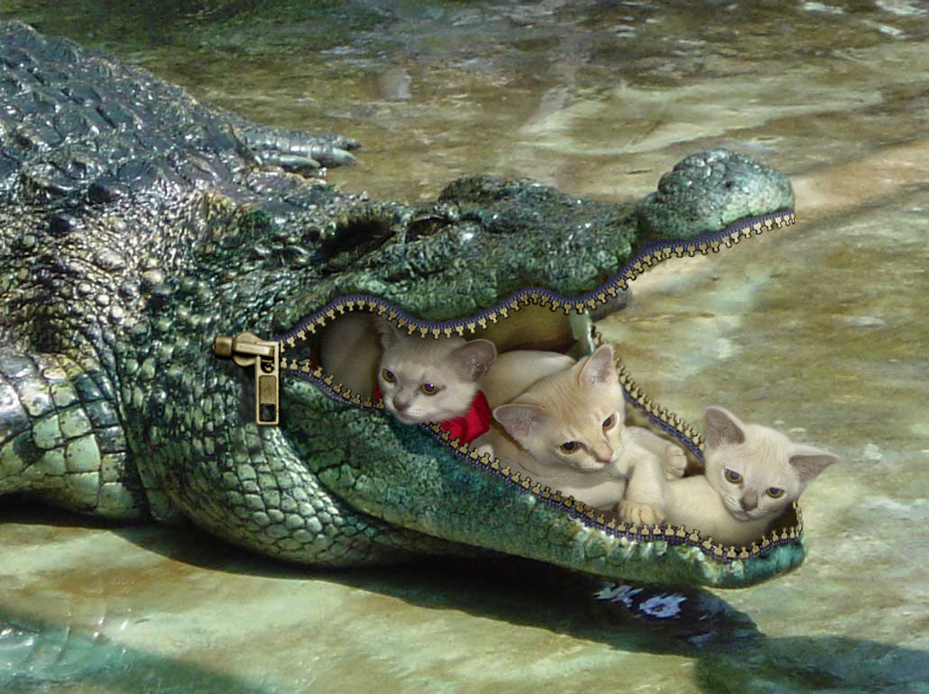 Photoshop Design by caveatscoti for DesignCrowd (Community Contests) | Design #8975198