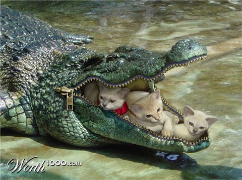 Photoshop Design by caveatscoti