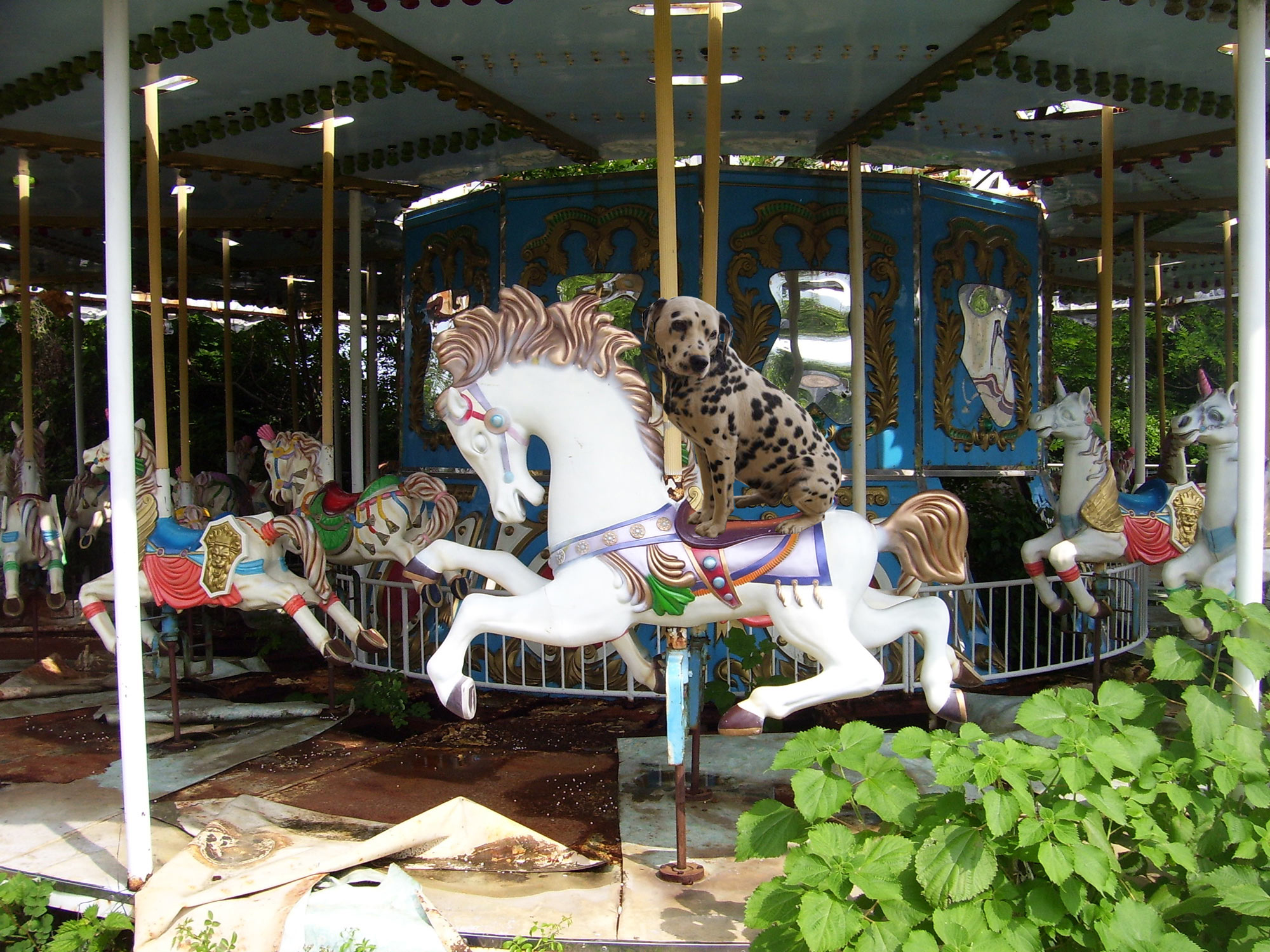 Photoshop Design by Augustas for DesignCrowd (Community Contests) | Design #8976870