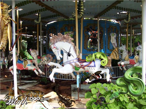 Photoshop Design by Ipshita