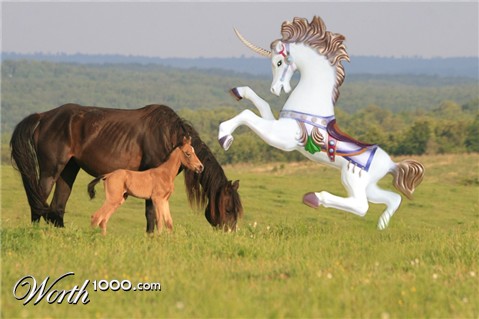 Photoshop Design by Ideesse